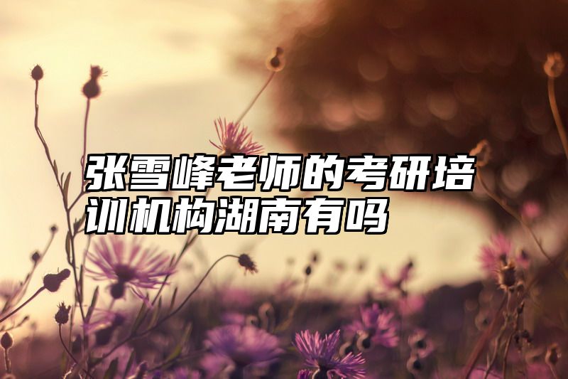 点击查看《张雪峰老师的考研培训机构湖南有吗》全文