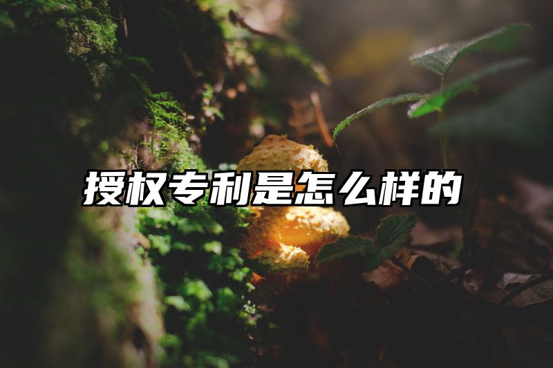 授权专利是怎么样的