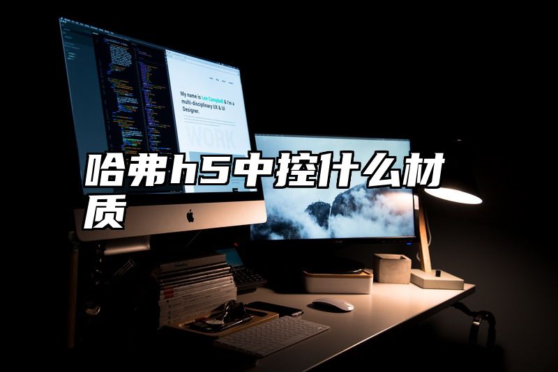 哈弗h5中控什么材质