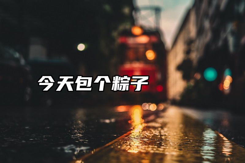 今天包个粽子