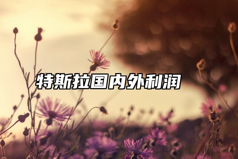 特斯拉国内外利润