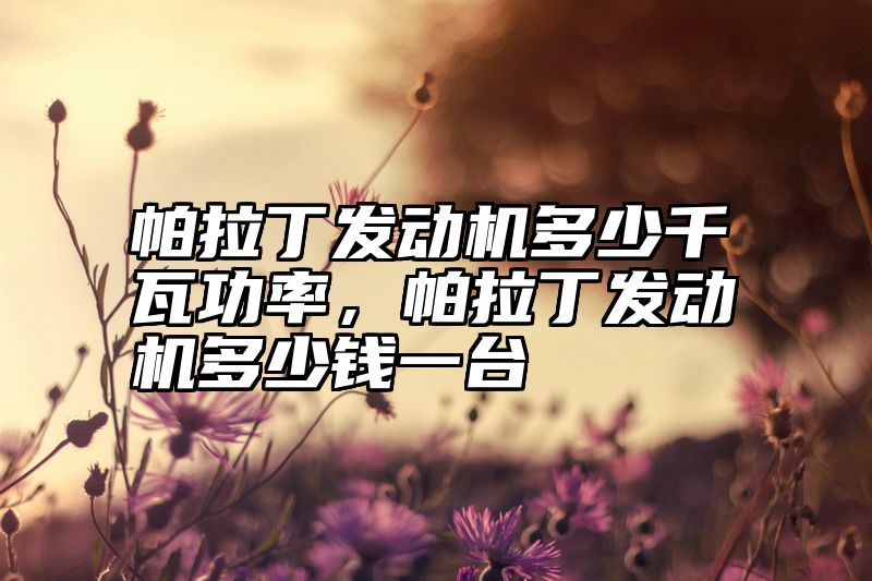 点击查看《帕拉丁发动机多少千瓦功率,帕拉丁发动机多少钱一台》全文
