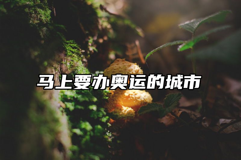 马上要办奥运的城市