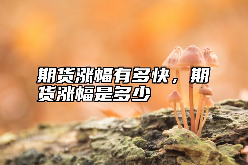 期货涨幅有多快，期货涨幅是多少
