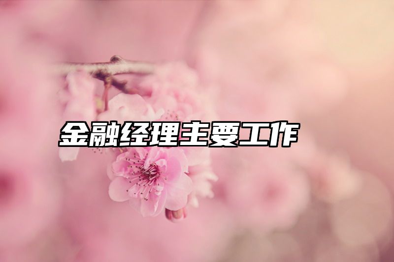 金融经理主要工作