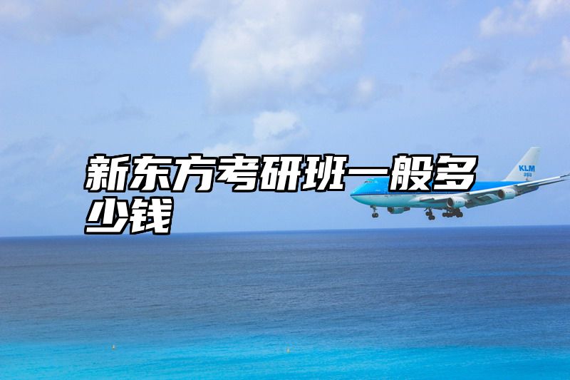 点击查看《新东方考研班一般多少钱》全文