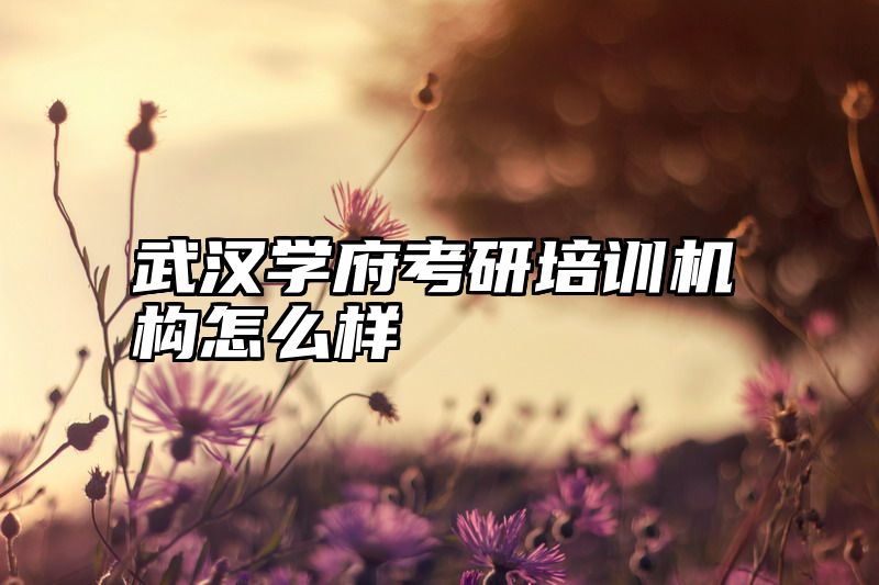 武汉学府考研培训机构怎么样
