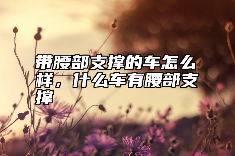 带腰部支撑的车怎么样，什么车有腰部支撑