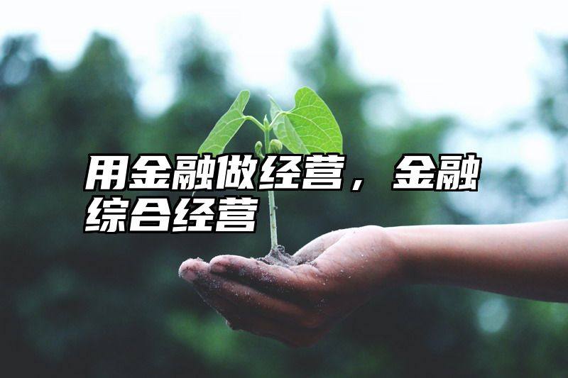 用金融做经营，金融综合经营