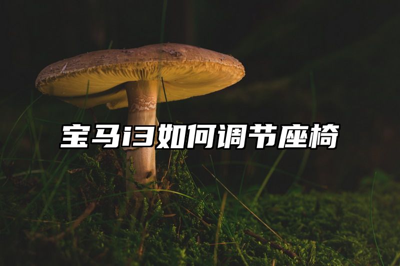 点击查看《宝马i3如何调节座椅》全文