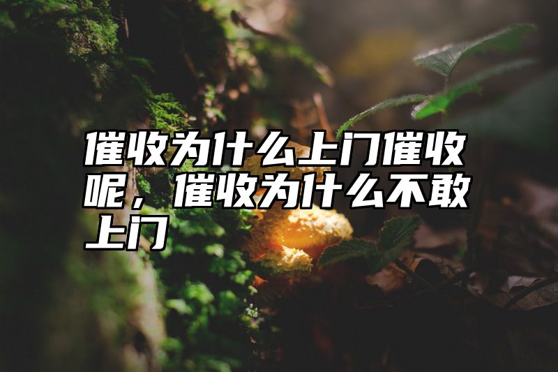 催收为什么上门催收呢，催收为什么不敢上门