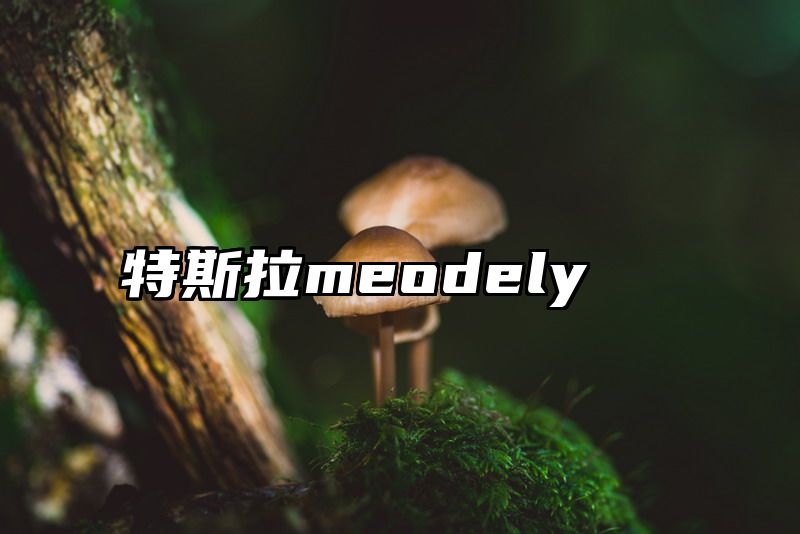 特斯拉meodely