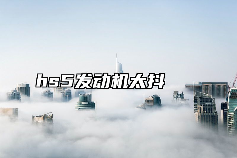 点击查看《hs5发动机太抖》全文