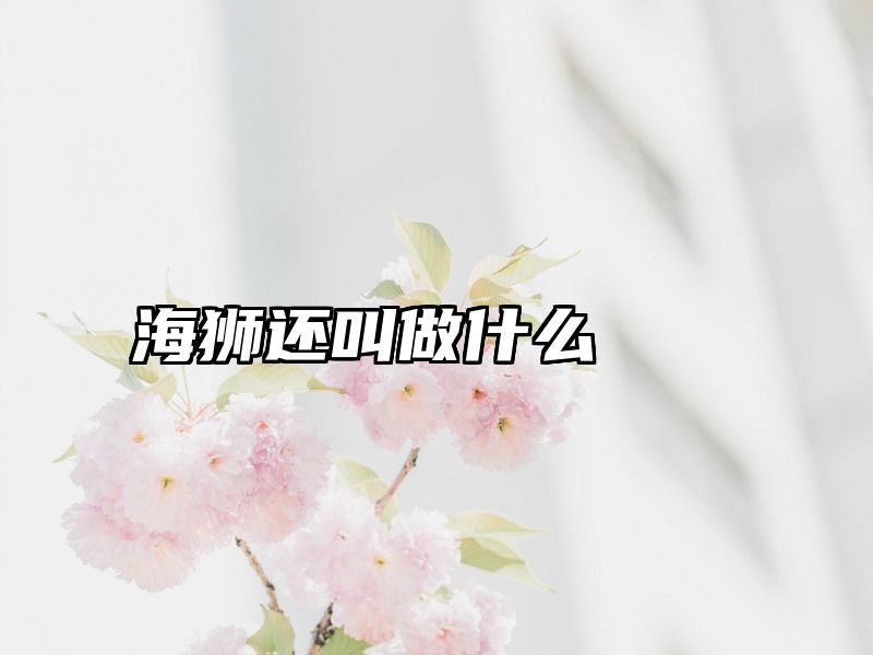 海狮还叫做什么