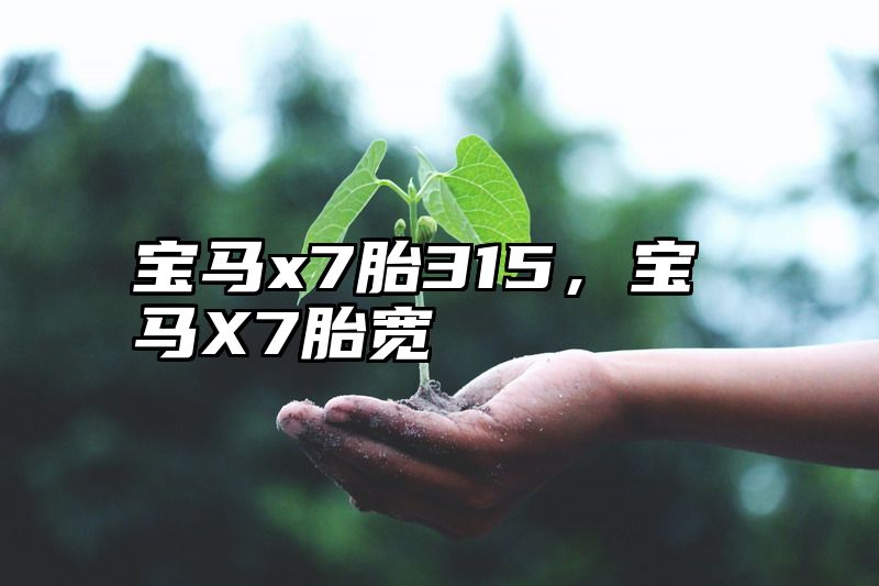 点击查看《宝马x7胎315,宝马X7胎宽》全文