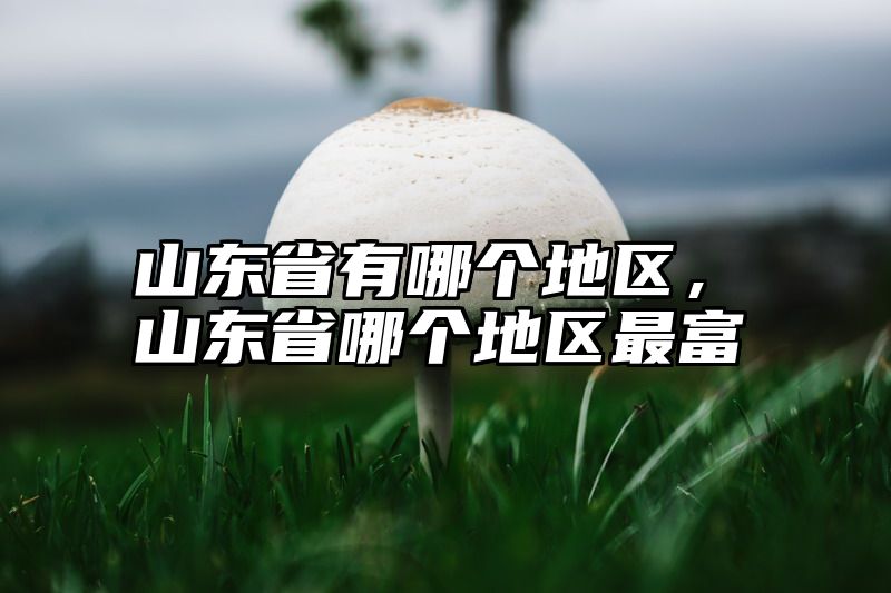山东省有哪个地区，山东省哪个地区最富