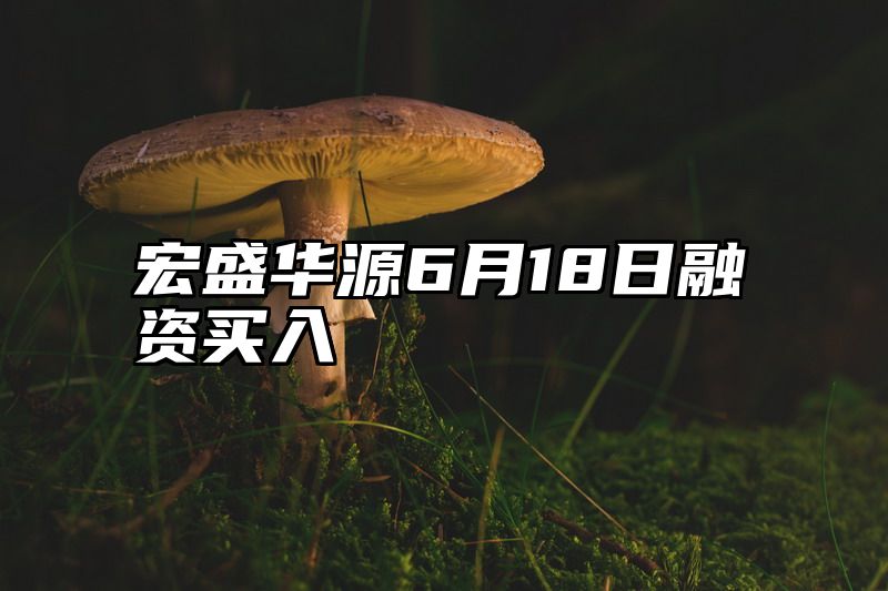 宏盛华源6月18日融资买入