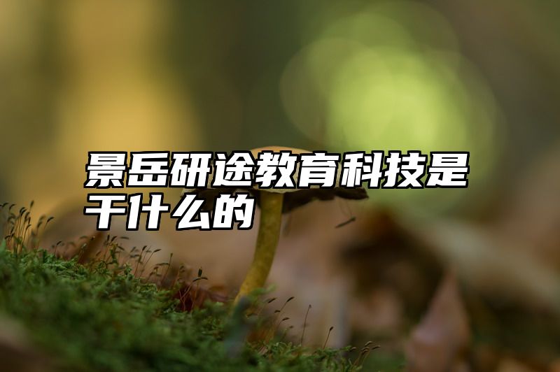 点击查看《景岳研途教育科技是干什么的》全文