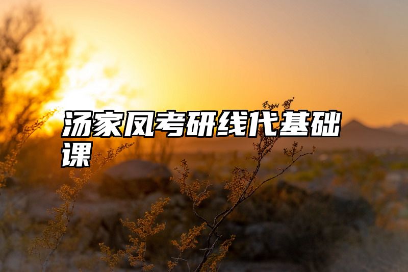 点击查看《汤家凤考研线代基础课》全文