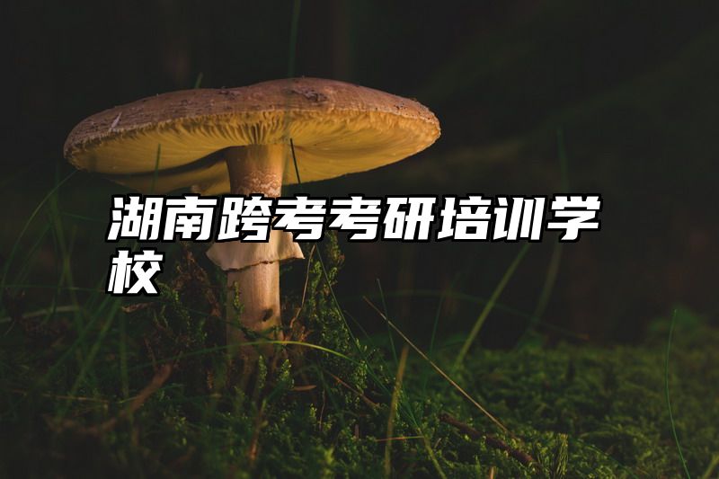 点击查看《湖南跨考考研培训学校》全文
