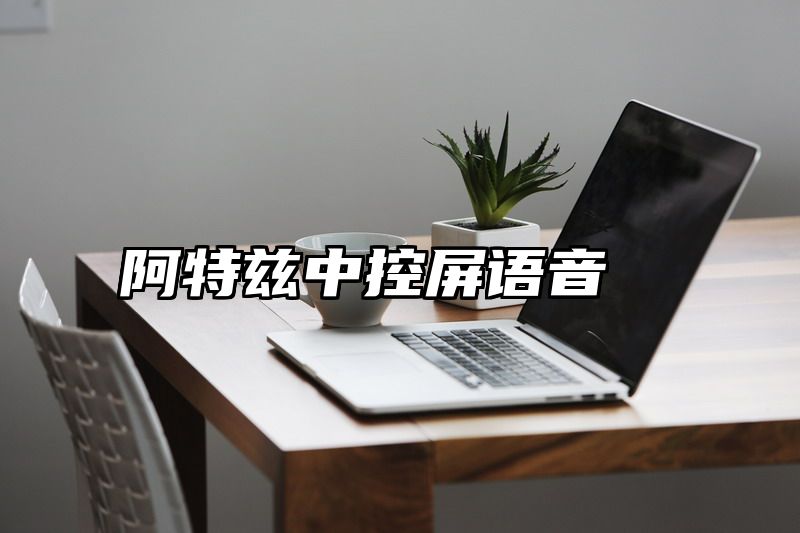 阿特兹中控屏语音
