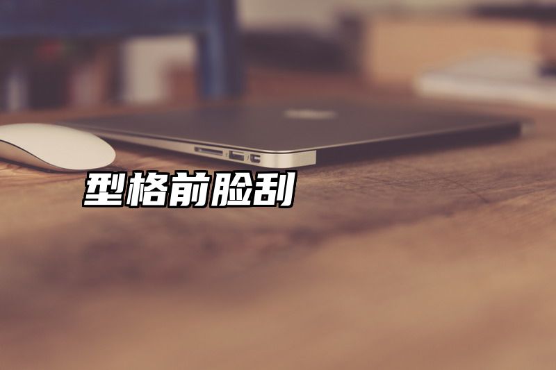 型格前脸刮
