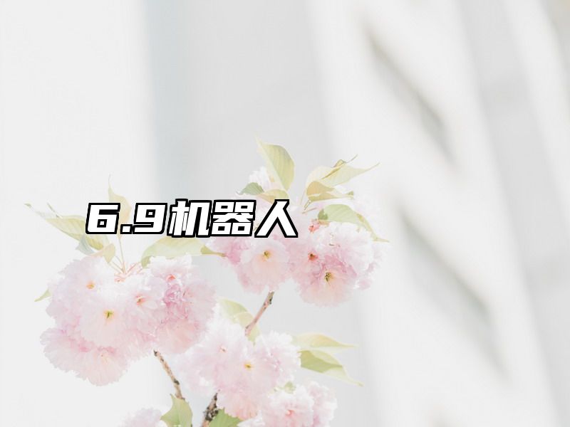 6.9机器人
