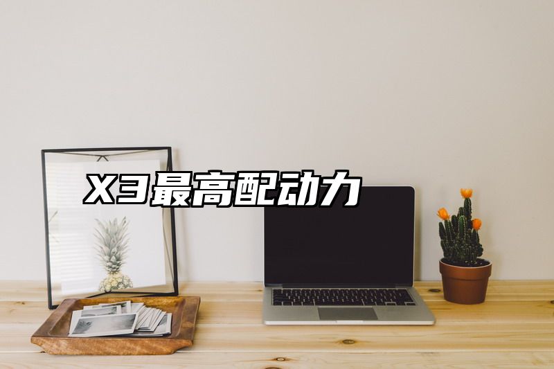 X3最高配动力