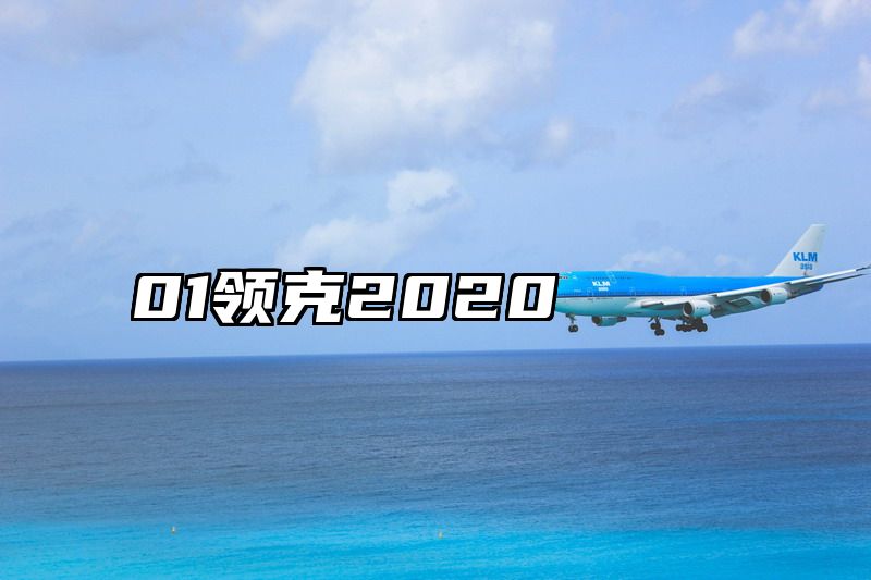 01领克2020