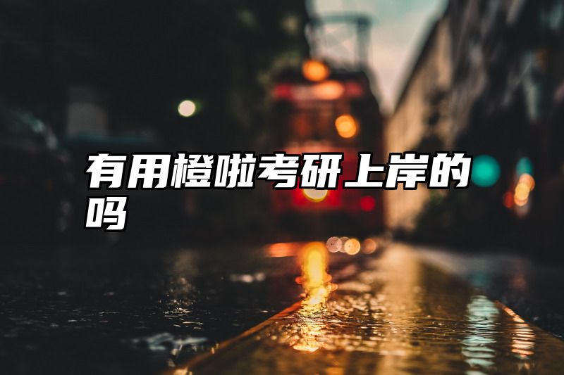 有用橙啦考研上岸的吗