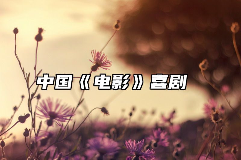 中国《电影》喜剧
