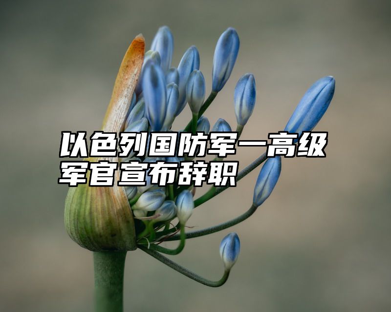 以色列国防军一高级军官宣布辞职