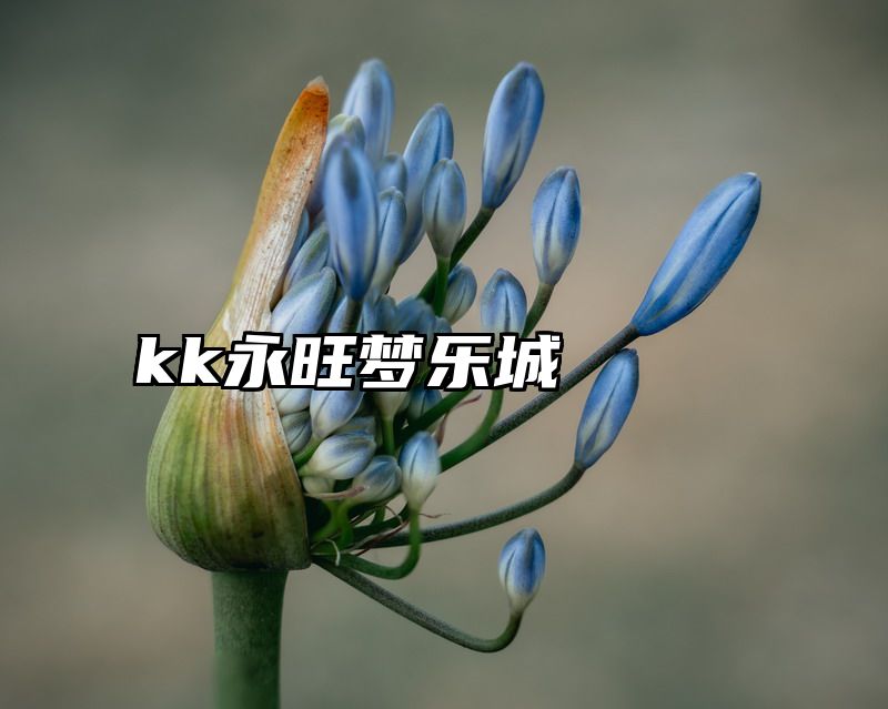 kk永旺梦乐城