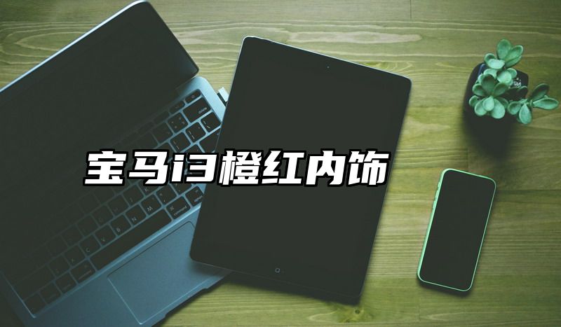 宝马i3橙红内饰