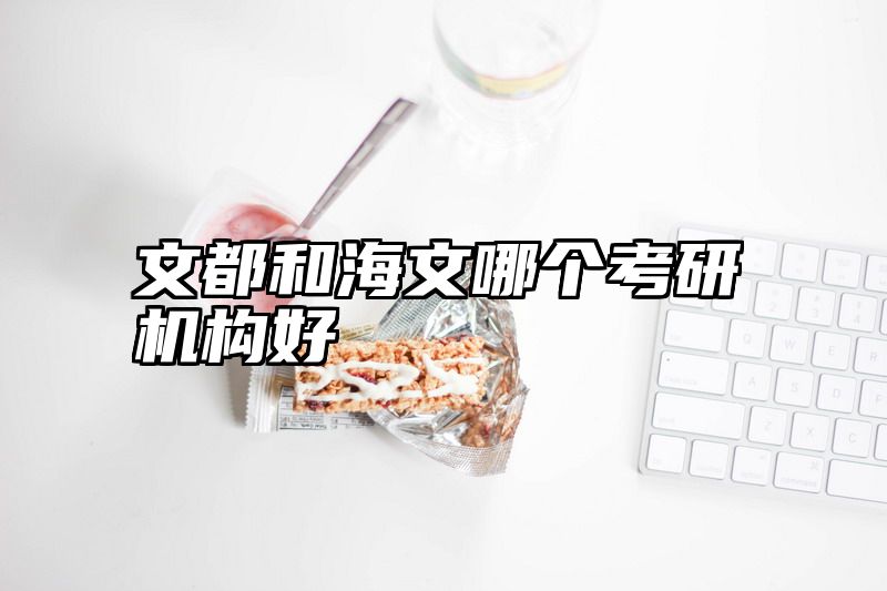 文都和海文哪个考研机构好