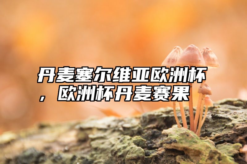 丹麦塞尔维亚欧洲杯，欧洲杯丹麦赛果
