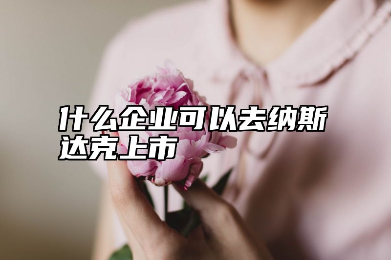 什么企业可以去纳斯达克上市