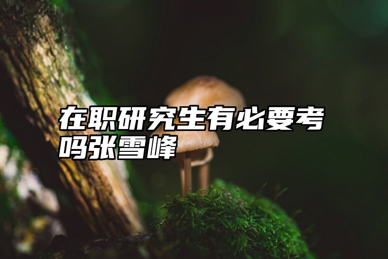 点击查看《在职研究生有必要考吗张雪峰》全文
