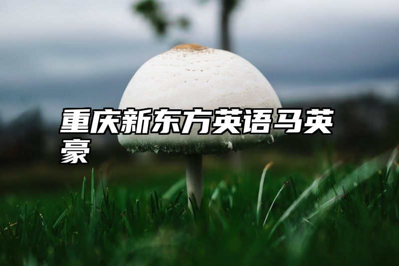 重庆新东方英语马英豪