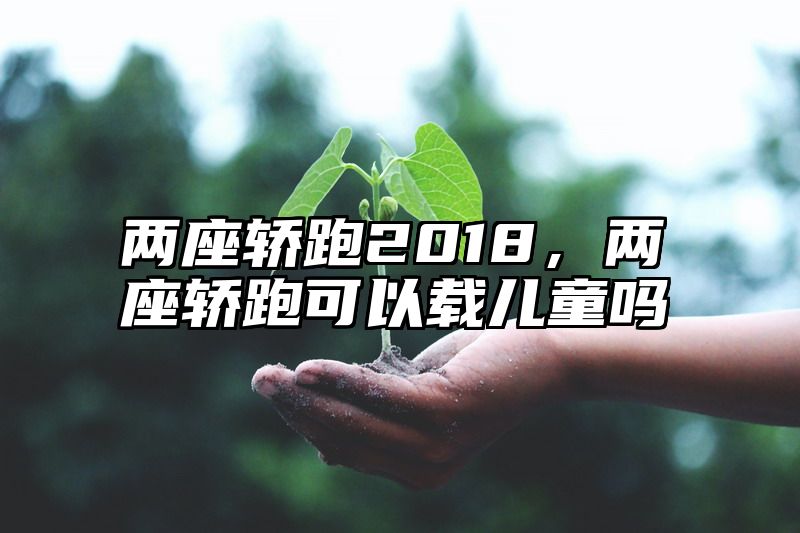 两座轿跑2018，两座轿跑可以载儿童吗