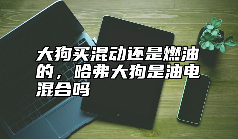 大狗买混动还是燃油的，哈弗大狗是油电混合吗