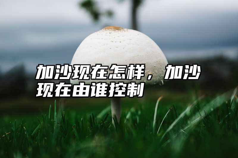 加沙现在怎样，加沙现在由谁控制