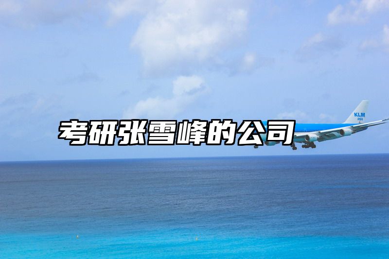 考研张雪峰的公司