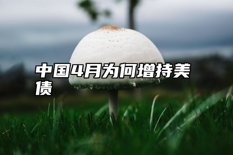 中国4月为何增持美债