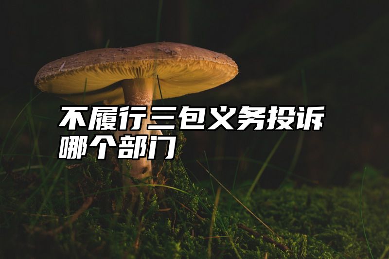 不履行三包义务投诉哪个部门