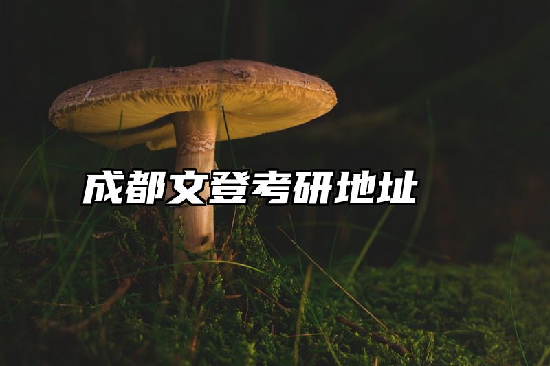 成都文登考研地址
