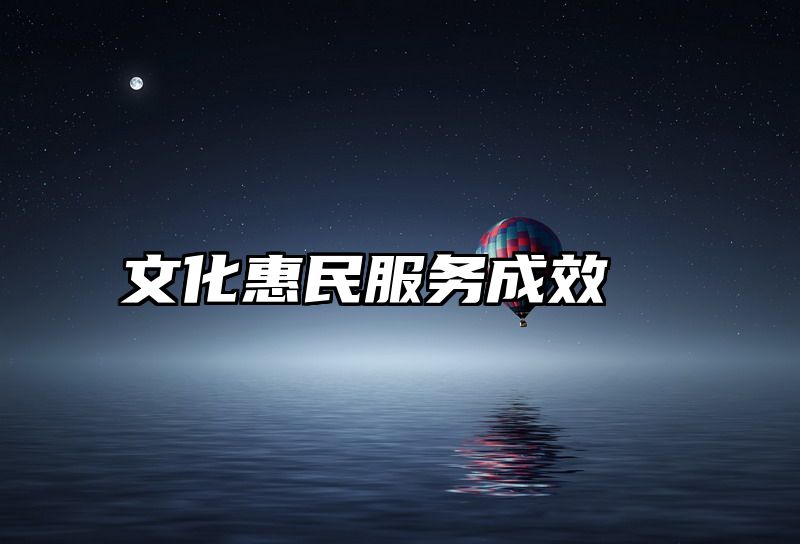 文化惠民服务成效