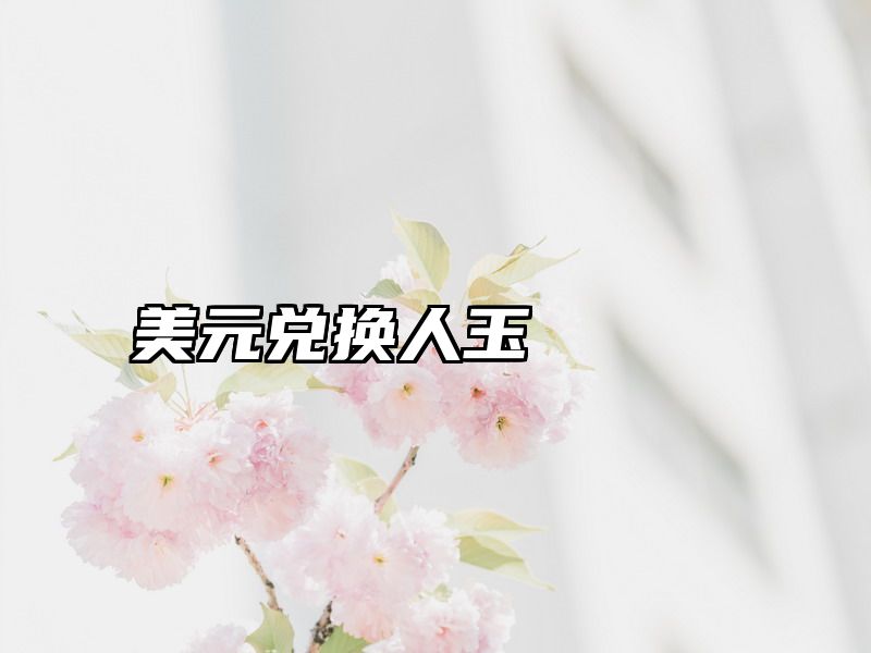 美元兑换人玉