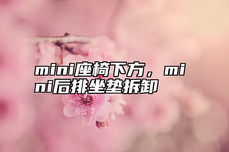 mini座椅下方，mini后排坐垫拆卸