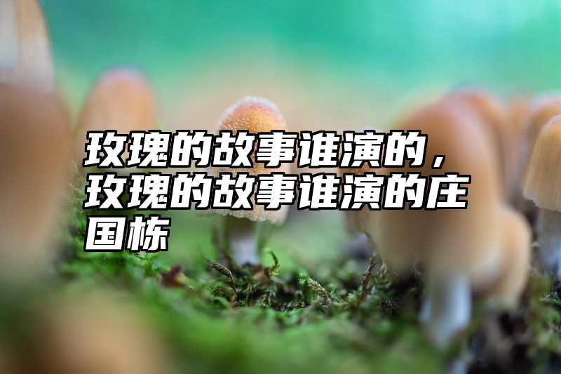 玫瑰的故事谁演的，玫瑰的故事谁演的庄国栋
